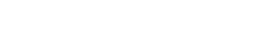 light logo